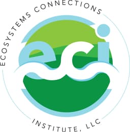 ECI Logo